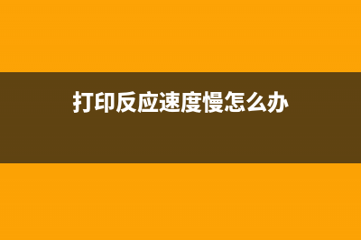 轻松解决打印难题爱普生3118清零软件通用多款打印机(打印反应速度慢怎么办)