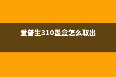 爱普生313费墨盒怎么清理？专家教你一招解决(爱普生310墨盒怎么取出)