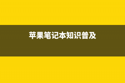 苹果笔记本常见故障 苹果电脑出现雪花点如何解决(苹果笔记本知识普及)