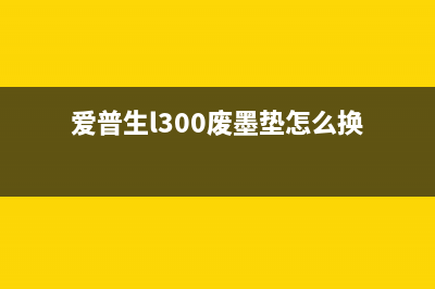 爱普生l300废墨垫清零（解决废墨垫问题的有效方法）(爱普生l300废墨垫怎么换)