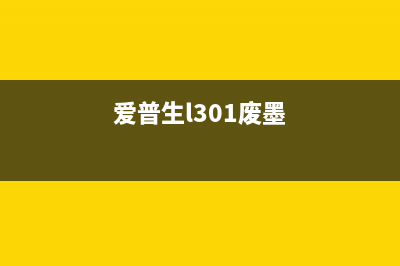 爱普生r390废墨清零软件错误解决方法（避免浪费时间和金钱）(爱普生l301废墨)