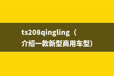 ts208qingling（介绍一款新型商用车型）