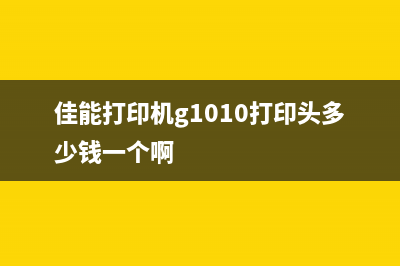 佳能打印机G1010清零软件下载（免费下载地址）(佳能打印机g1010打印头多少钱一个啊)