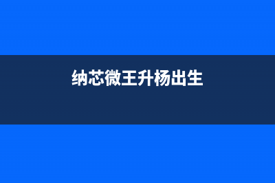 纳芯微王升杨：中国模拟芯片公司为汽车产业蓬勃发展注入新动能 (纳芯微王升杨出生)