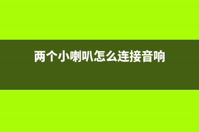 两音路小喇叭的设计制作 (两个小喇叭怎么连接音响)