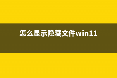 怎么显示隐藏文件夹？显示隐藏的文件夹的操作技巧 (怎么显示隐藏文件win11)