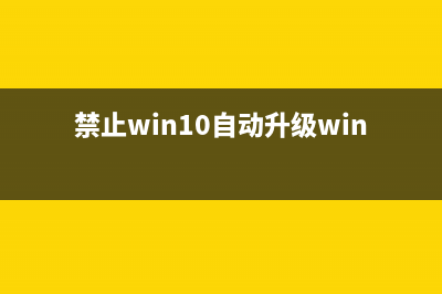 禁止Win10自动升级，彻底关闭Update (禁止win10自动升级win11)