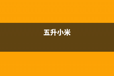 自行给小米5升级扩容6GB内存，结果MIUI奔放了 (五升小米)