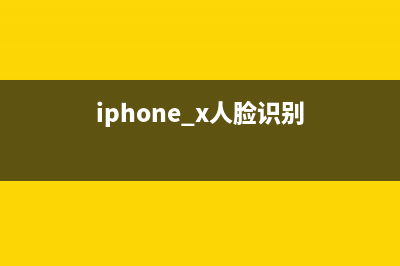 揭秘iPhone X人脸识别技术里的人脸是啥样？ (iphone x人脸识别)