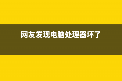 网友发现电脑处理器运用率经常飙升至100%！太意外了 (网友发现电脑处理器坏了)