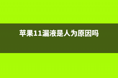 苹果iOS 11重大漏洞，不用解锁就能看光你的手机照片！ (苹果11漏液是人为原因吗)