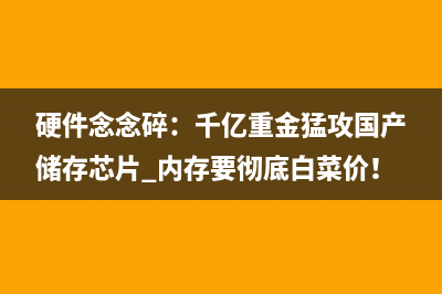 硬件念念碎：千亿重金猛攻国产储存芯片 内存要彻底白菜价！ 