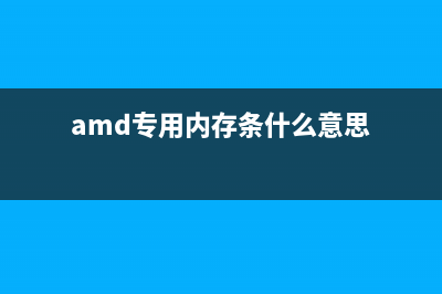 关于AMD专用内存，究竟适合哪些用户运用？ (amd专用内存条什么意思)