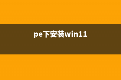 pe装win11详细教程 (pe下安装win11)