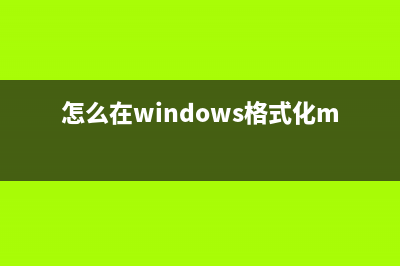 怎么在Windows11/10中查看正在运行的进程？ (怎么在windows格式化mac硬盘)