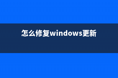 怎么修复Windows11中的AMD驱动程序崩溃？ (怎么修复windows更新)