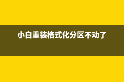 小白装机格式化错误该如何维修 (小白重装格式化分区不动了)