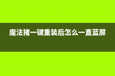 魔法猪系统重装大师电脑重装系统教程 (魔法猪一键重装后怎么一直蓝屏)