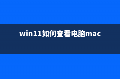 Win11如何查看电脑型号？Win11查看电脑型号的方法 (win11如何查看电脑mac地址)