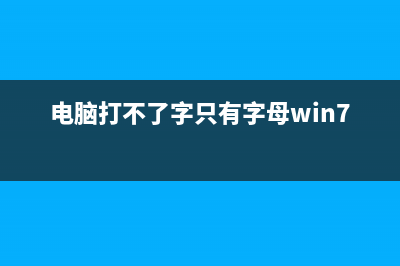 电脑打不了字只有字母如何维修 电脑上打字不显示汉字的怎么修理 (电脑打不了字只有字母win7)