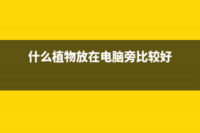 什么植物放在电脑前比较好 (什么植物放在电脑旁比较好)