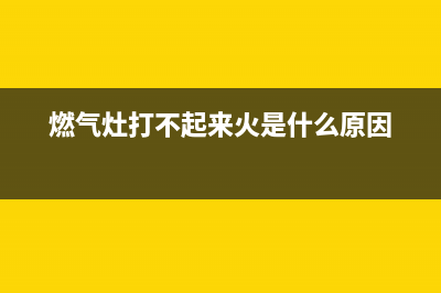 燃气灶打不着火哪种故障，具体的维修故障维修参考 (燃气灶打不起来火是什么原因)