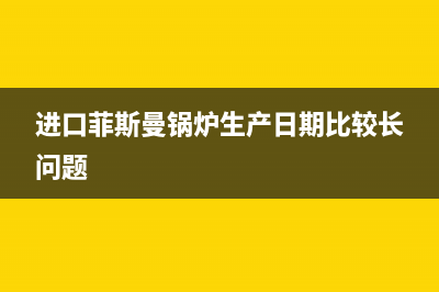 进口菲斯曼锅炉显示f04怎么维修 (进口菲斯曼锅炉生产日期比较长问题)