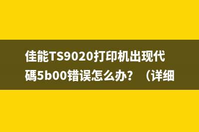 佳能TS9020打印机出现代碼5b00错误怎么办？（详细解决方案）