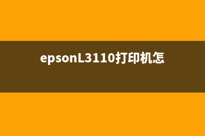 EPSONL3110打印机亮灯问题解决方法（一步步教你解决常见问题）(epsonL3110打印机怎么清洗喷头)
