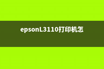 EpsonL3110打印机两个灯同时亮的解决方法(epsonL3110打印机怎么清洗喷头)