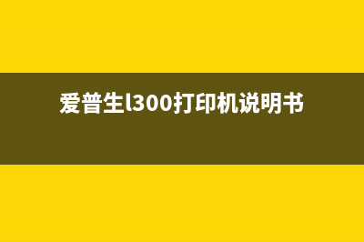 爱普生L300打印机集墨清零详细步骤解析(爱普生l300打印机说明书)