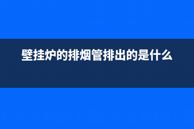 袋鼠壁挂炉排烟故障怎么解决(小松鼠壁挂炉排烟故障)(壁挂炉的排烟管排出的是什么)