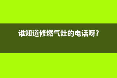 维修燃气灶汕头电话_燃气灶维修 煤气灶维修电话(谁知道修燃气灶的电话呀?)