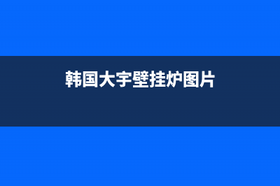 韩国大宇壁挂炉e0是什么故障(韩国大宇壁挂炉显示u0是什么故障)(韩国大宇壁挂炉图片)