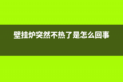 迷你壁挂炉突然故障停了怎么办(迷你壁挂炉突然故障停了怎么办呢)(壁挂炉突然不热了是怎么回事)