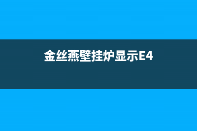 金丝燕壁挂炉e1是什么故障(金丝燕壁挂炉故障代码)(金丝燕壁挂炉显示E4)