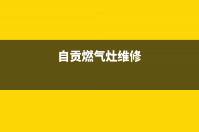 自贡家用燃气灶维修、南充燃气灶维修(自贡燃气灶维修)