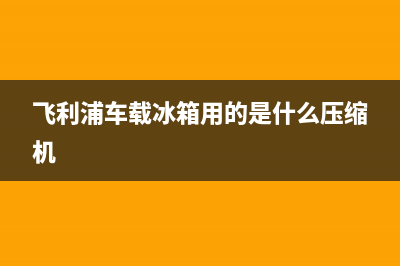 飞利浦车载冰箱故障代码(飞利浦冰箱一直滴滴响是怎么回事)(飞利浦车载冰箱用的是什么压缩机)