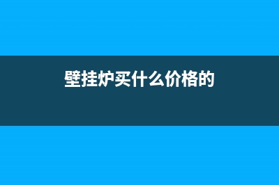 选购挂壁炉必看要点：从性能到售后全解析(壁挂炉买什么价格的)