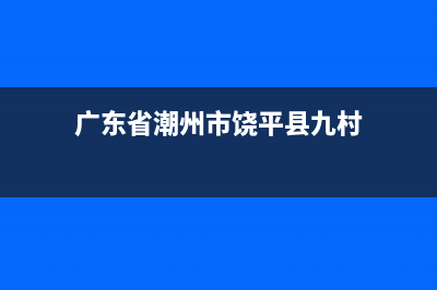 饶平九村维修洗衣机店(广东省潮州市饶平县九村)