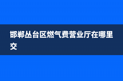 邯郸丛台区燃气灶维修—邯郸丛台区燃气灶维修电话(邯郸丛台区燃气费营业厅在哪里交)