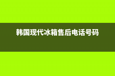 韩国现代冰箱故障码大全(现代冰箱冷冻一直闪烁怎么调)(韩国现代冰箱售后电话号码)