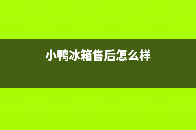 小鸭牌冰箱故障(小鸭牌冰箱故障代码大全)(小鸭冰箱售后怎么样)