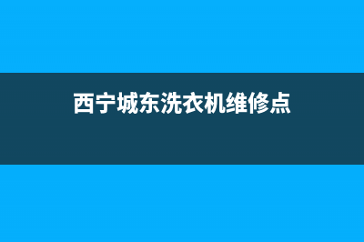 西宁城东洗衣机维修(西宁城东洗衣机维修点)