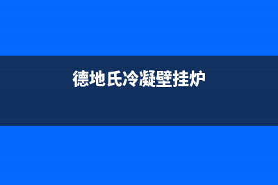 德地氏冷凝壁挂炉故障代码f2.5(德地氏壁挂炉说明书e01)(德地氏冷凝壁挂炉)