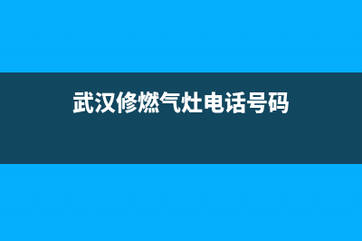 武汉修燃气灶维修(武汉修燃气灶电话号码)