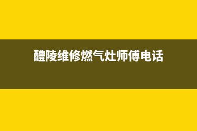 醴陵维修燃气灶—醴陵维修燃气灶电话(醴陵维修燃气灶师傅电话)