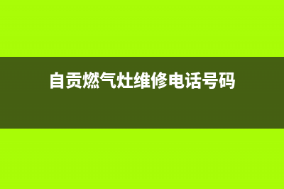 自贡燃气灶维修上门,什邡燃气灶维修(自贡燃气灶维修电话号码)