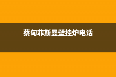 蔡甸菲斯曼壁挂炉站故障(菲斯曼壁挂炉常见故障)(蔡甸菲斯曼壁挂炉电话)