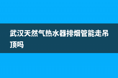 武汉天然气热水器售后维修,武汉天然气维修电话(武汉天然气热水器排烟管能走吊顶吗)